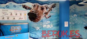 graffiti sitges dog wash perros agua
